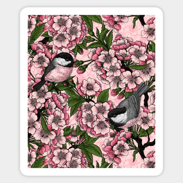 Cherry blossom and chickadees on pink Sticker by katerinamk